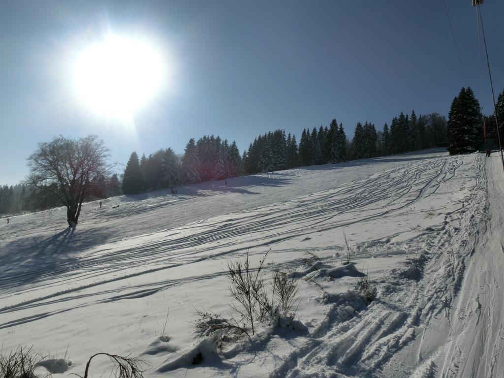 Ferienwohnung "Kleines Glueck" In Winterberg-Niedersfeld Экстерьер фото